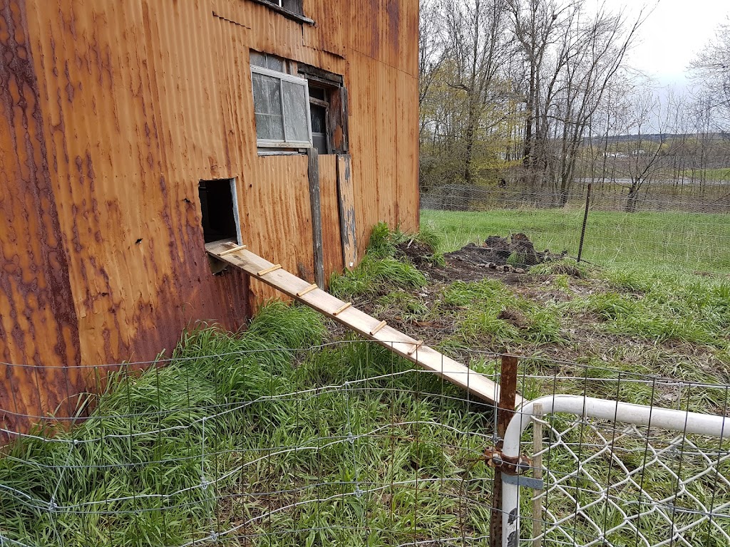 Under the Sun Farm | 1215 Simmons Rd, Odessa, ON K0H 2H0, Canada | Phone: (613) 777-2003