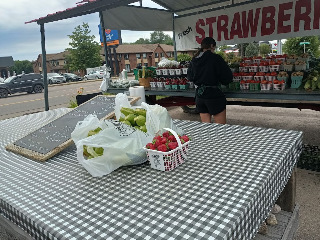 McGregors Produce - Pembroke East Market Stand | Pembroke, ON K8A 7W5, Canada | Phone: (613) 432-9726
