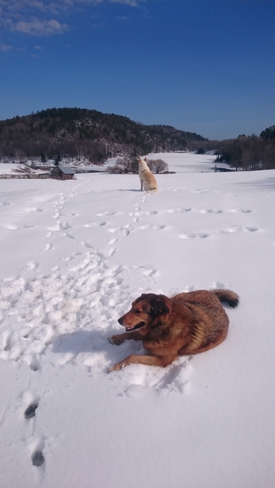 Mont Chilly | 220 Chemin du Lac de la Truite, Mansfield-et-Pontefract, QC J0X, Canada | Phone: (819) 683-3595