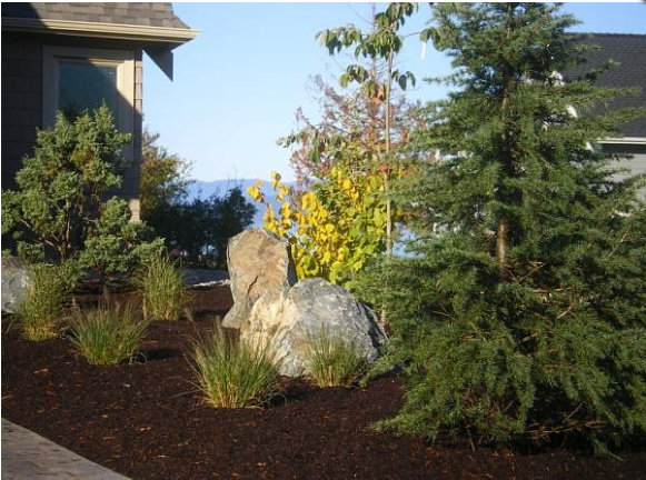 The Landscape Consultants | 3550 Crocus Rd, Qualicum Beach, BC V9K 1V9, Canada | Phone: (250) 752-3161