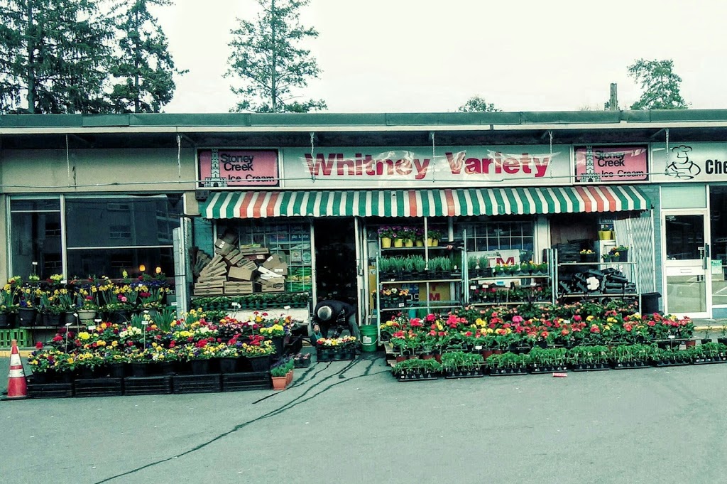 Whitney Variety | 1815 Main St W, Hamilton, ON L8S 1H6, Canada | Phone: (905) 528-8035
