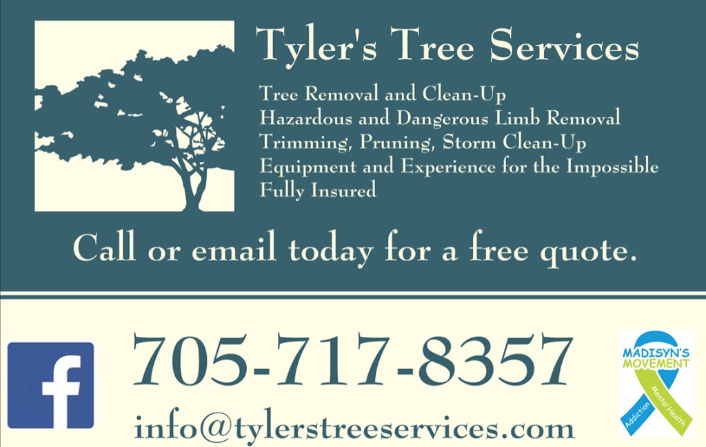 Tylers Tree Services | 7854 Yonge St, Innisfil, ON L9S 1L4, Canada | Phone: (705) 717-8357