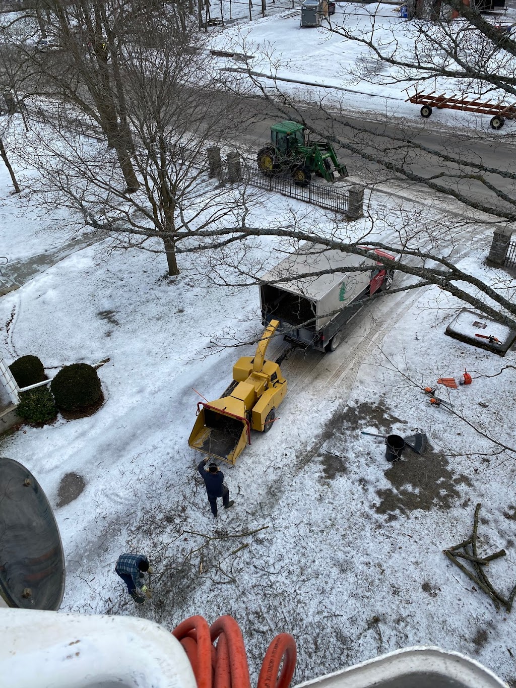 OBrien tree service | 260 Douro 3rd Line, Douro, ON K0L 2H0, Canada | Phone: (705) 741-9925