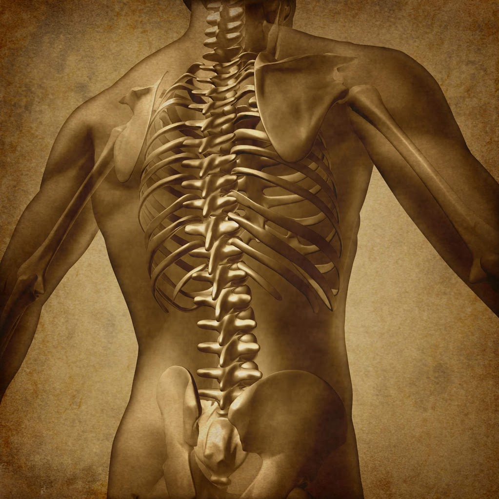 Armstrong Chiropractic - Dr. Troy Shore | 3300 Smith Dr #9, Armstrong, BC V0E 1B1, Canada | Phone: (250) 546-9325