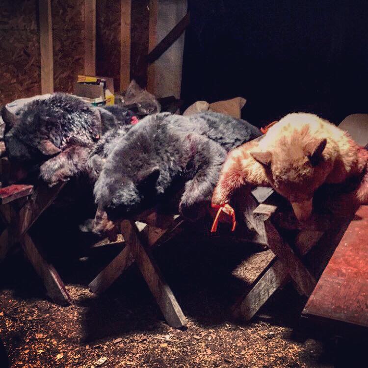 Agassiz Outfitters | MB-6, Gypsumville, MB R0C 1J0, Canada | Phone: (204) 281-1918