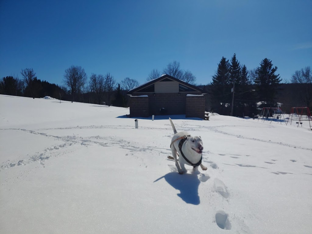 Walter Kummer Town Park | 8602 Park Street, Colden, NY 14033, USA | Phone: (716) 941-5012