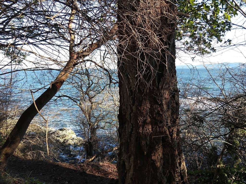 Baynes Beach | 3050 Baynes Rd, Victoria, BC V8N 1Y7, Canada