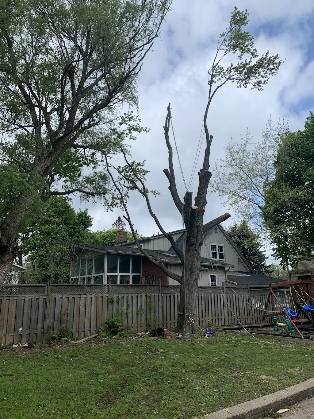 Bison Tree Service | 59071 Pleasant Rd 38E, Anola, MB R5L 0E7, Canada | Phone: (289) 683-5408
