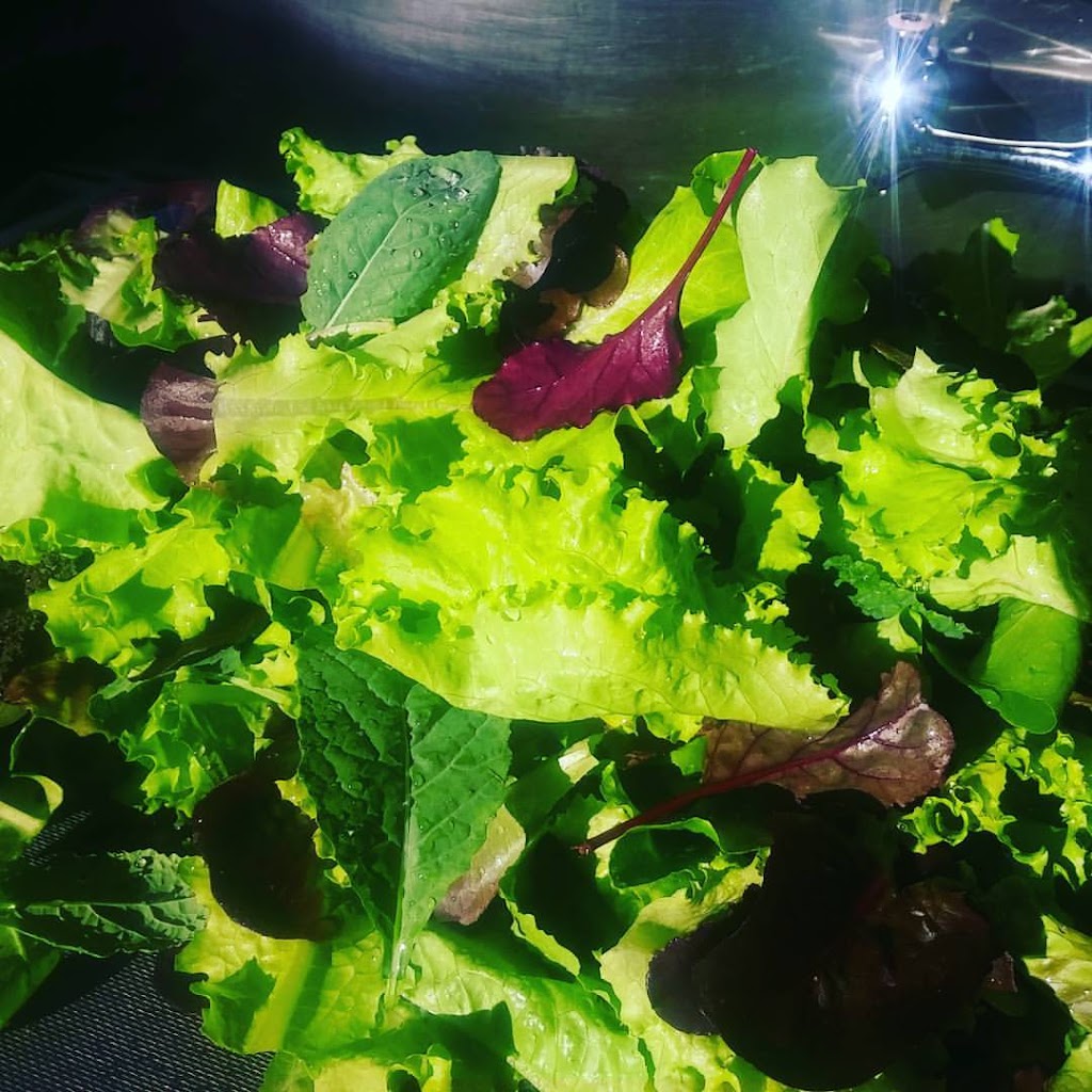 Mountain River Farm | 712 Torbrook Rd, Wilmot, NS B0P 1W0, Canada | Phone: (902) 825-9257