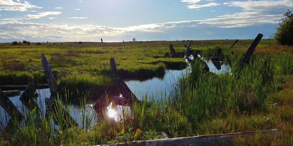 Grauer Lands | Richmond, BC, Canada