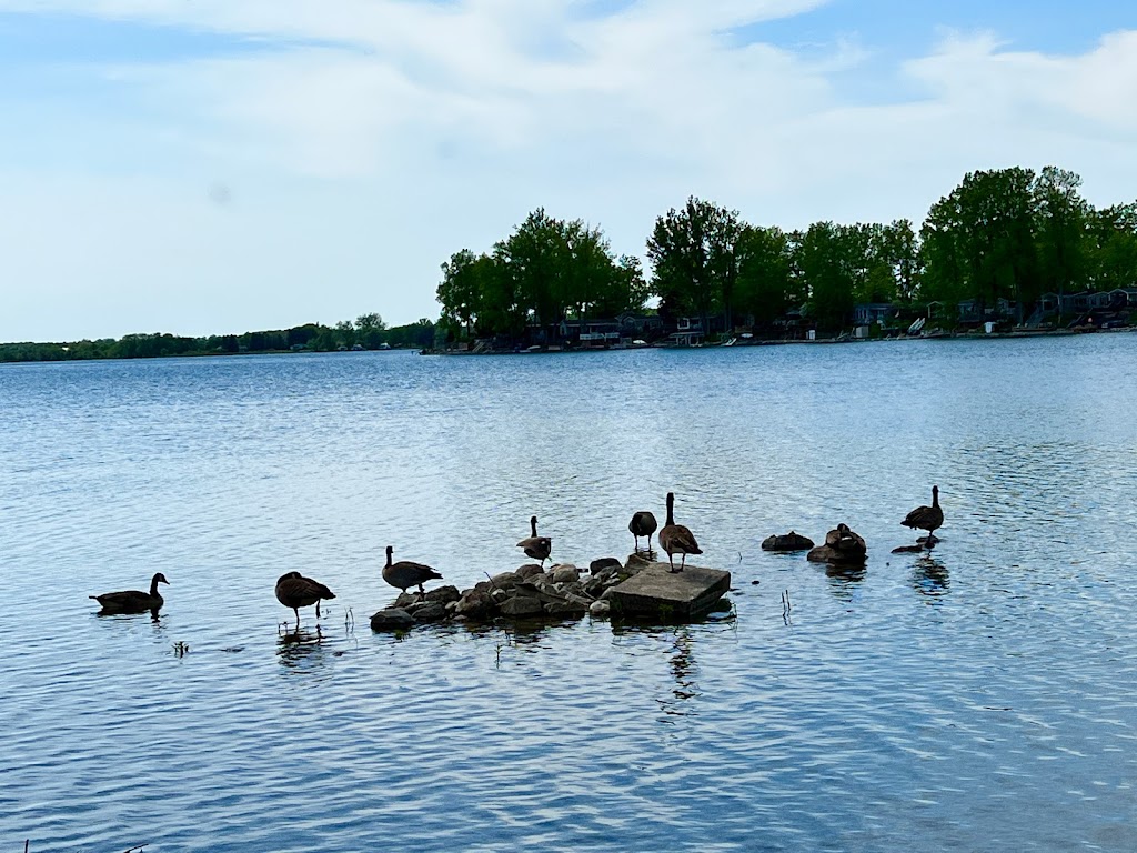 Oasis of Sandbanks | Oasis of Sandbanks, 556 County Road 18, Cherry Valley, ON K0K 1P0, Canada | Phone: (416) 278-3848