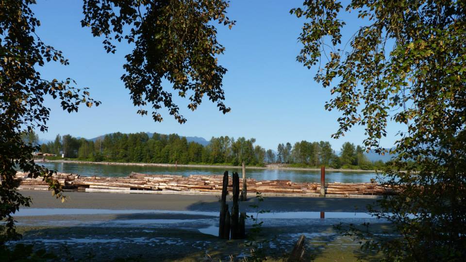 Robert Point Rest Area in Barnston Island Regional Park | Dyke Rd, Surrey, BC V4N, Canada | Phone: (604) 530-4983