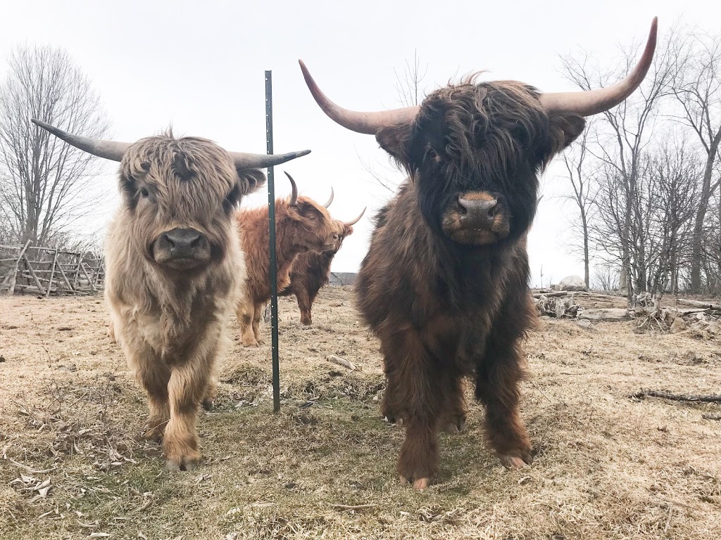 Flycreek Farm | 9887 Flycreek Rd, North Augusta, ON K0G 1R0, Canada | Phone: (613) 246-1884