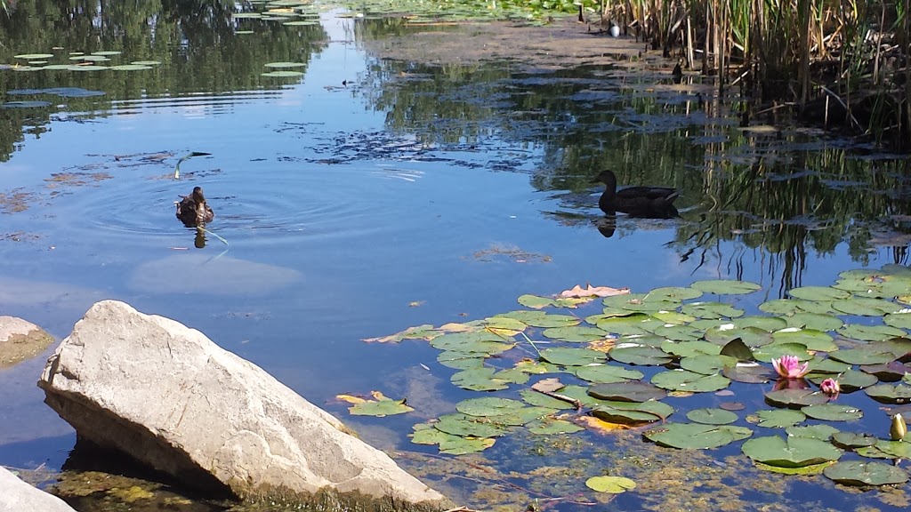 Angrignon Park | 3400 Boul des Trinitaires, Montréal, QC H4E 4J3, Canada | Phone: (514) 872-0311