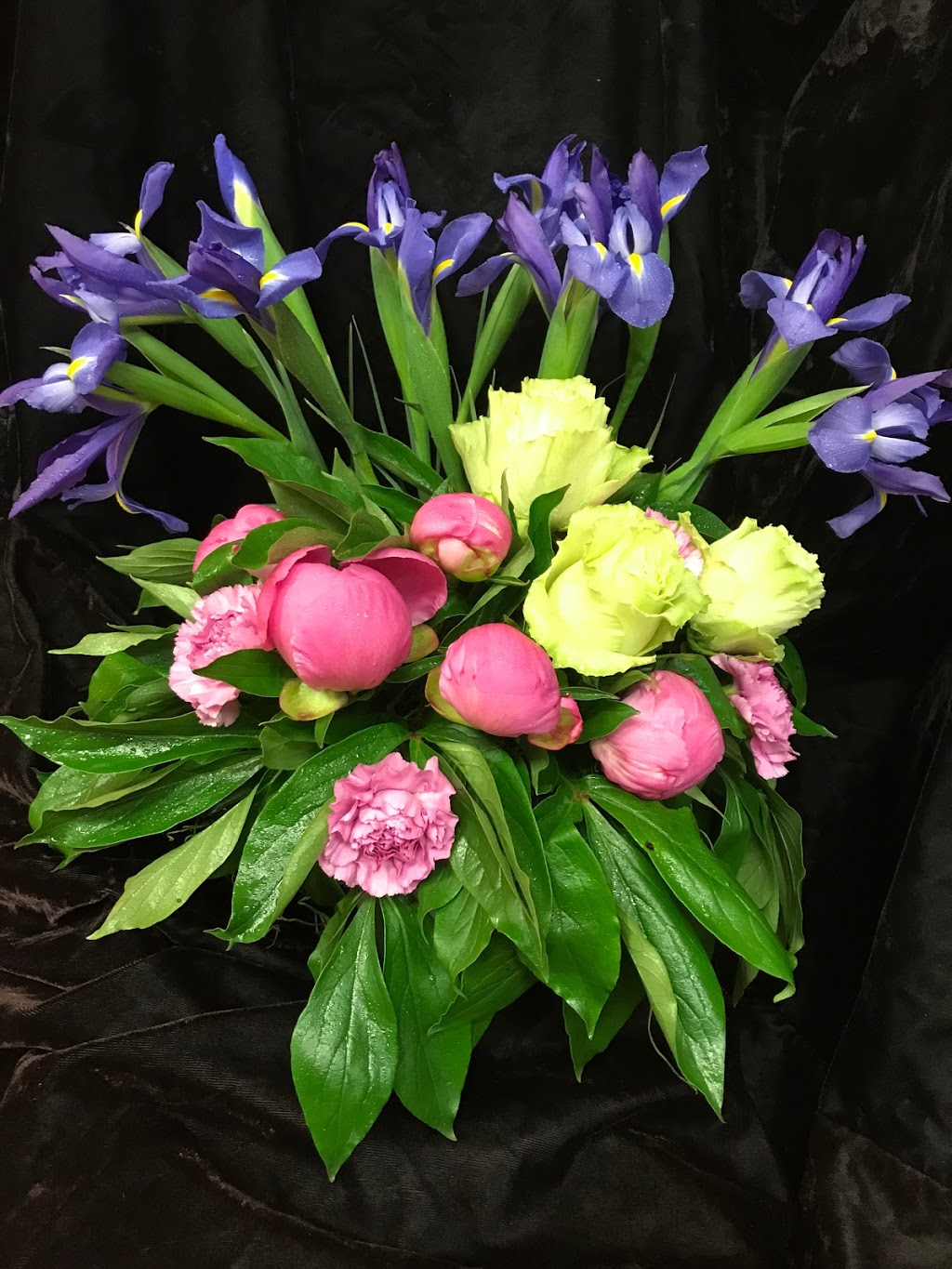 stems etc. limited | 101 Lakeport Rd Unit 3, St. Catharines, ON L2N 7L7, Canada | Phone: (289) 438-2235