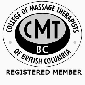 Total Health Chiropractic | 19610 64 Ave, Langley City, BC V2Y 1H3, Canada | Phone: (604) 533-1005