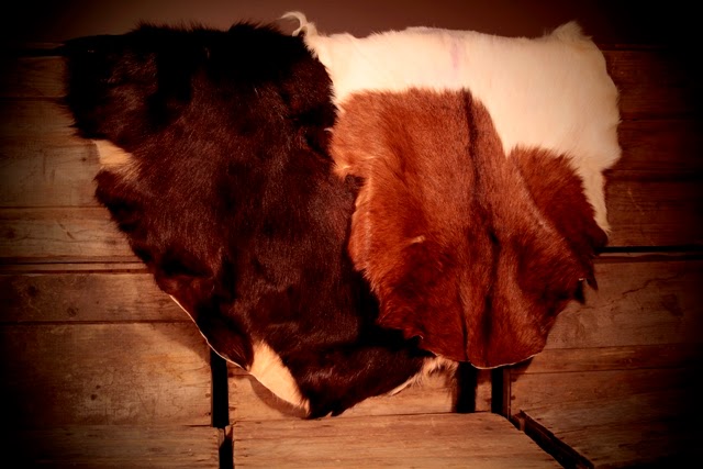 Ferme verte aux petits sabots | 260 3e Rang, Ormstown, QC J0S, Canada | Phone: (450) 829-3836
