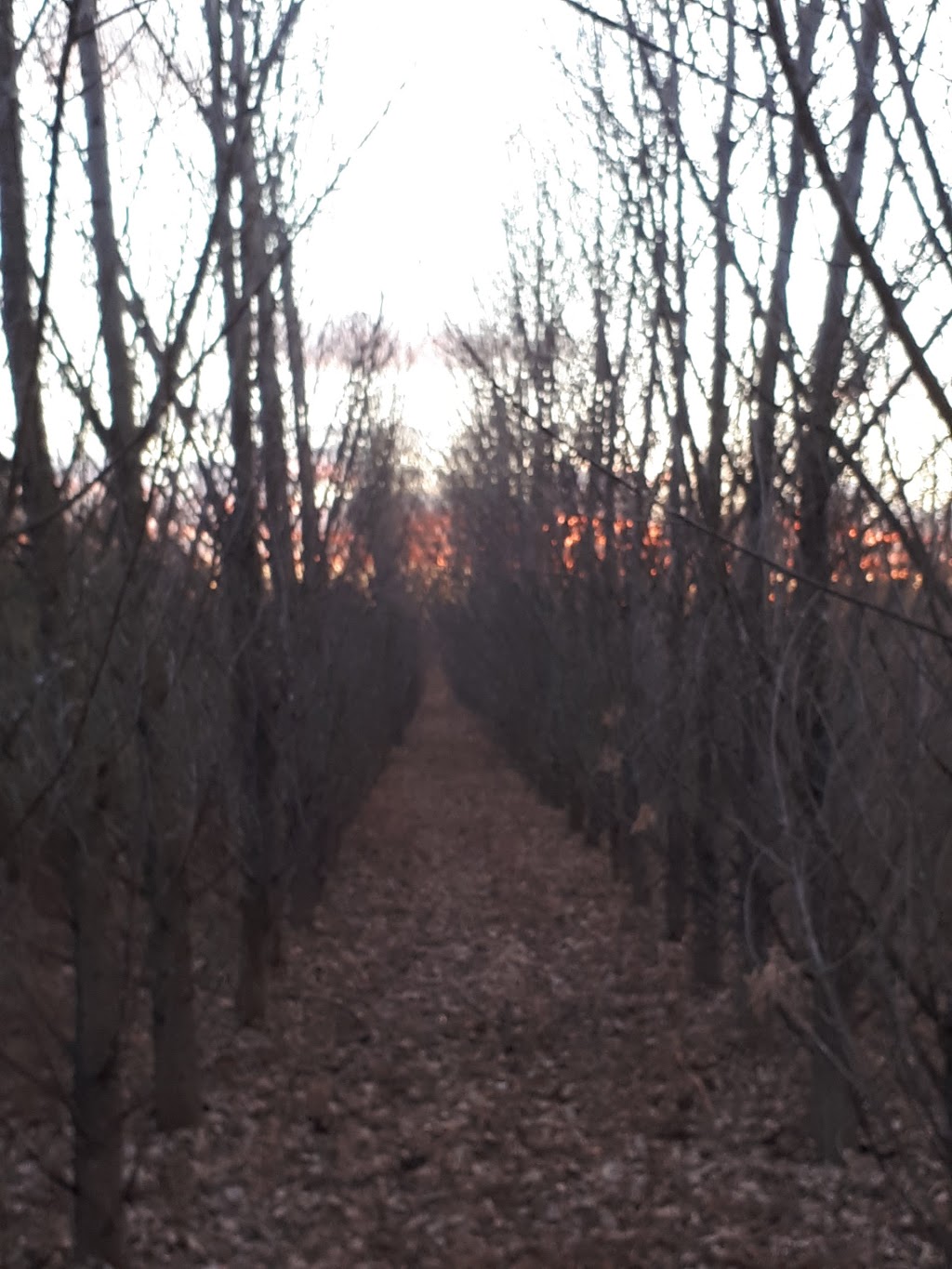 Four Winds Parkette | 331 Sunset Beach Rd, Richmond Hill, ON L4E 3J1, Canada | Phone: (905) 771-8800