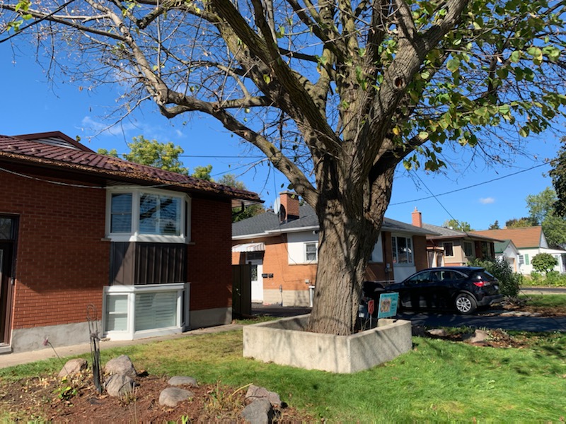 Odds N Ends Property Maintenance | 1535 Snyders Rd E Unit C, Petersburg, ON N3A 2H0, Canada | Phone: (226) 220-5510