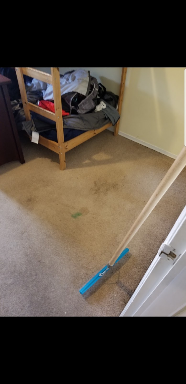 Magic Carpet Cleaning | 12 Gaudi Rd, Scarborough, ON M1B 0B4, Canada | Phone: (437) 999-3842