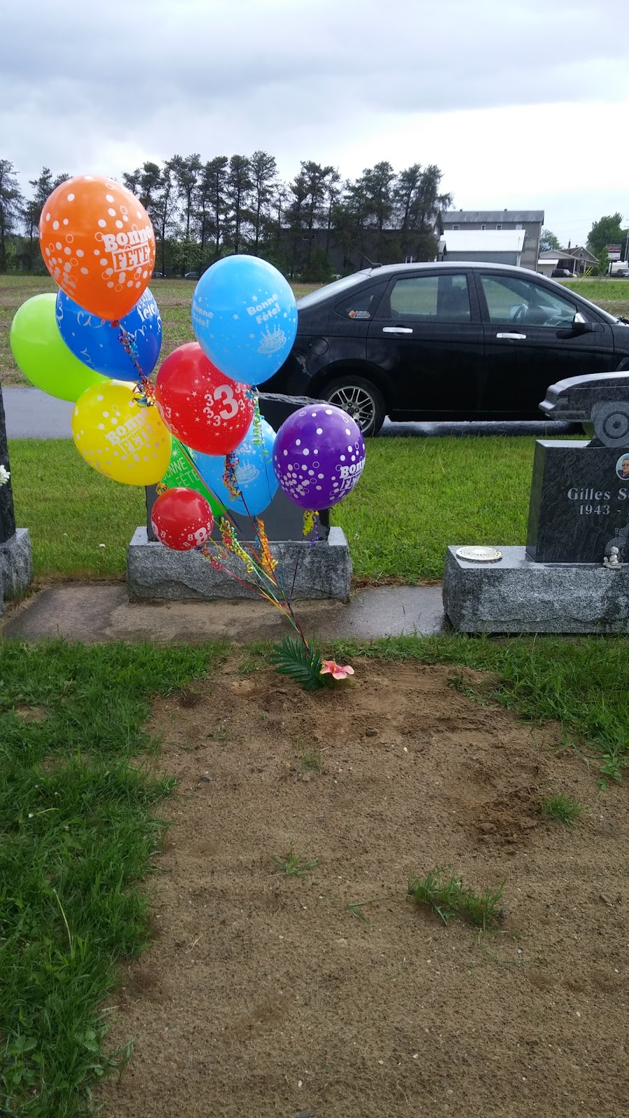Cemetery Catholic Des Bois-Francs | 305 Avenue Pie X, Victoriaville, QC G6R 0L6, Canada