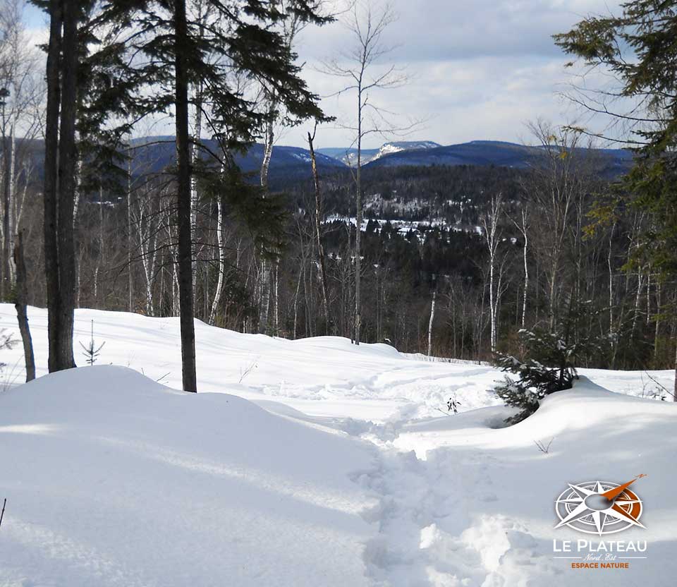 Le Plateau Nord-Est | 330 Rang de la Chute à Lessard, Saint-Alexis-des-Monts, QC J0K 1V0, Canada | Phone: (819) 996-4504
