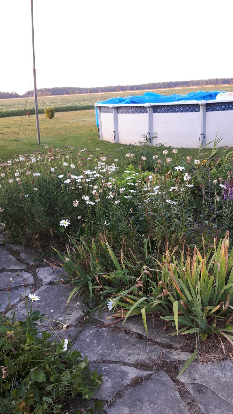 Jaques Farm Drainage | 5635 Petrolia Line, Petrolia, ON N0N 1R0, Canada | Phone: (519) 882-1622