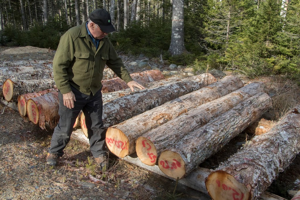 Growing Forests | 7748 Nova Scotia Trunk 7, Musquodoboit Harbour, NS B0J 2L0, Canada | Phone: (902) 817-1139
