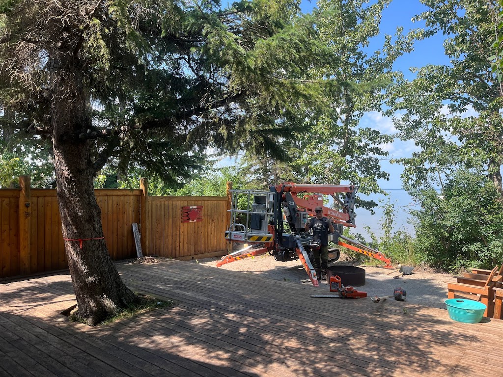 Fisher Hill Tree Company | 48075, Range Rd 194, Camrose, AB T4V 2N1, Canada | Phone: (780) 678-4909