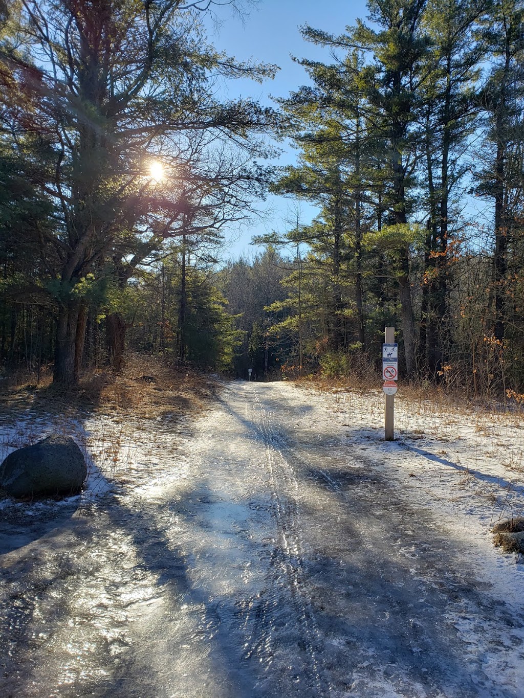 Woodland Trailhead, Northumberland County Forest | 199-101 Woodland Rd, Roseneath, ON K0K 2X0, Canada | Phone: (905) 372-3329 ext. 2303