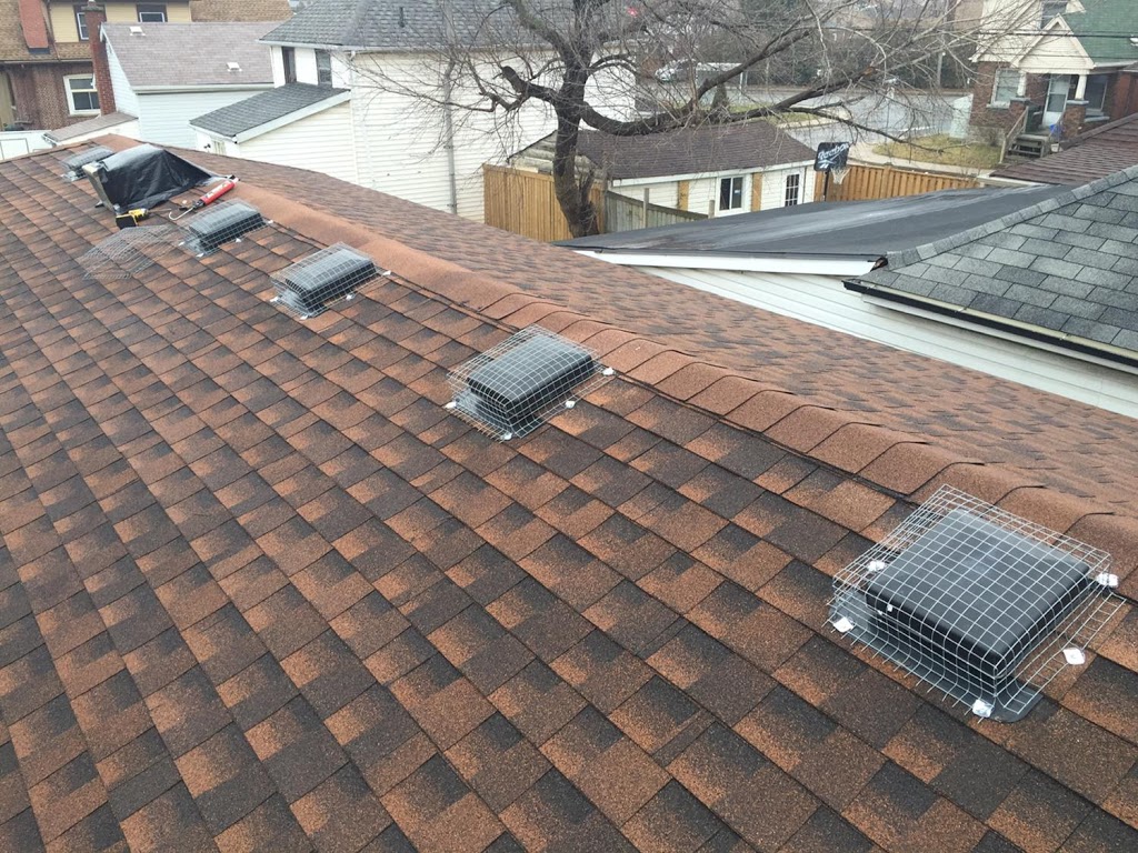 Ontario Wildlife Removal Inc. | 56 Highland Dr, Brantford, ON N3T 0L5, Canada | Phone: (226) 802-9453