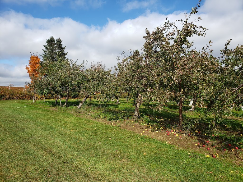 Le Verger à Ti-Paul Inc | 260 Rang du Bas-Saint-Jacques, Saint-Elzéar, QC G0S 2J0, Canada | Phone: (418) 387-1333