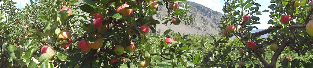 Blush Lane Organic Orchard | 3105 BC-3, Keremeos, BC V0X 1N1, Canada | Phone: (250) 499-5392
