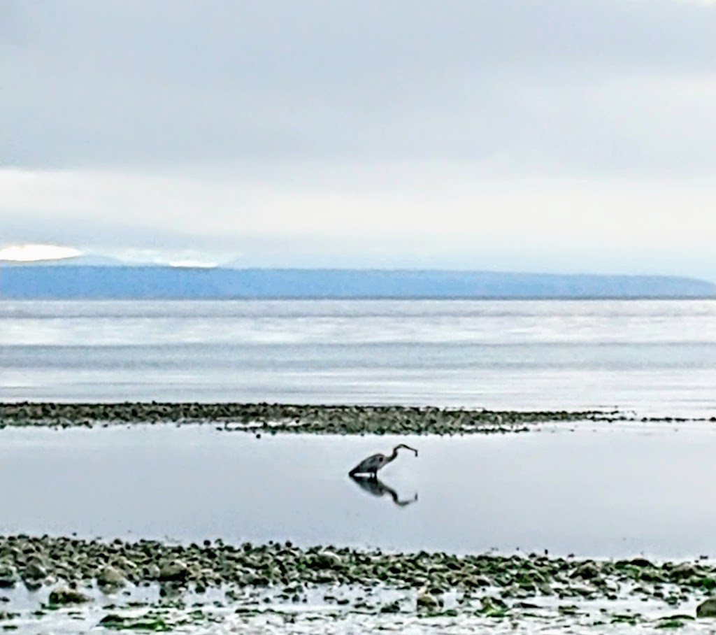 Coastal Sands Resort | 8914 Clarkson Ave, Black Creek, BC V9J 1B1, Canada | Phone: (778) 428-8885