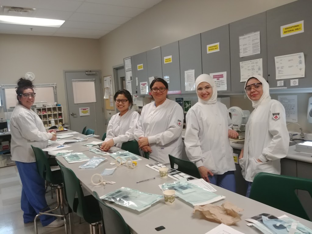 Westervelt College Kitchener | 248 Stirling Ave S #14, Kitchener, ON N2G 4L1, Canada | Phone: (519) 895-0013