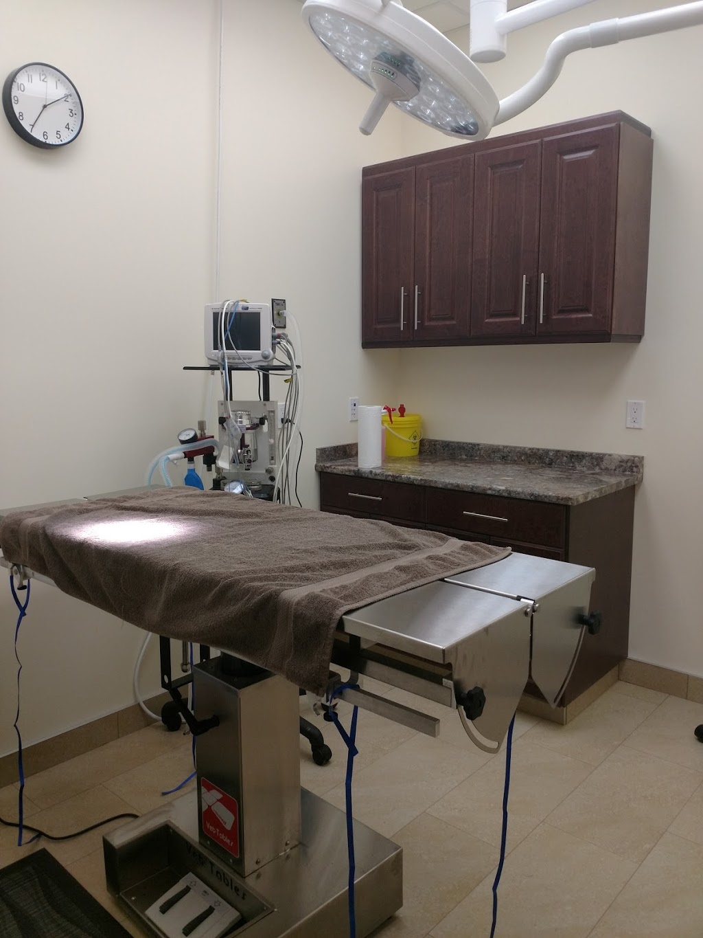 Southfort Veterinary Clinic | 120 Southridge Blvd #105, Fort Saskatchewan, AB T8L 0P6, Canada | Phone: (780) 912-3800