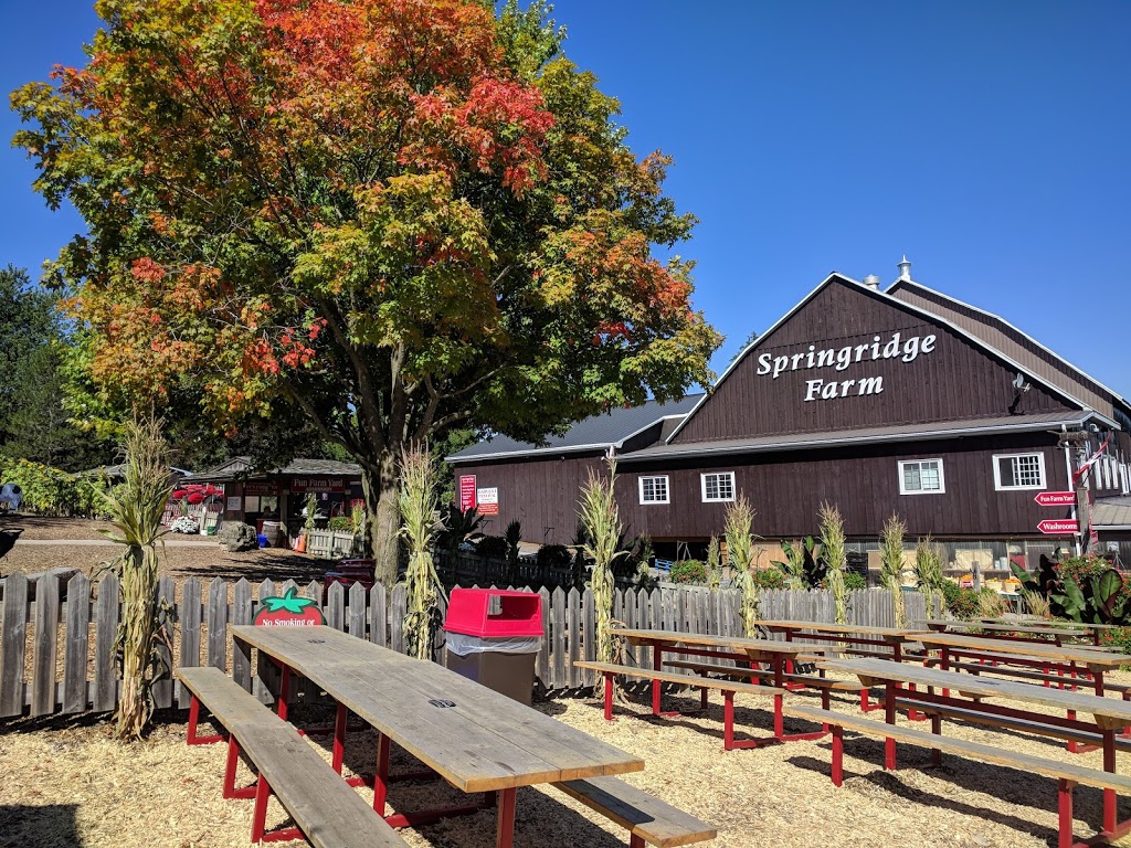 Springridge Farm | 7256 Bell School Line, Milton, ON L9E 0N7, Canada | Phone: (905) 878-4908