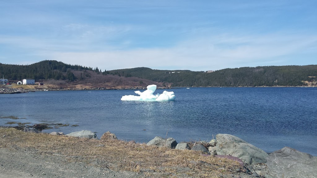 Southern Shore Shamrock Festival | Ferryland, NL A0A 1A0, Canada | Phone: (709) 432-2052