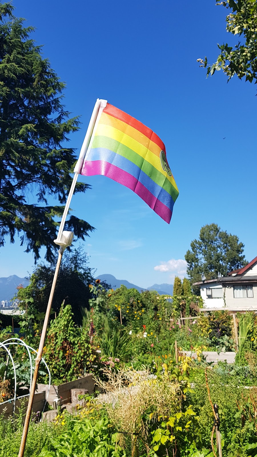Wall Street Community Garden | 2099 Portside Bikeway, Vancouver, BC V5L 1B3, Canada | Phone: (604) 873-7000