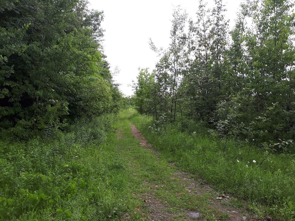 Parc Brochu-Châtigny | 102 Rue du Soudeur, Saint-Isidore, QC G0S 2S0, Canada