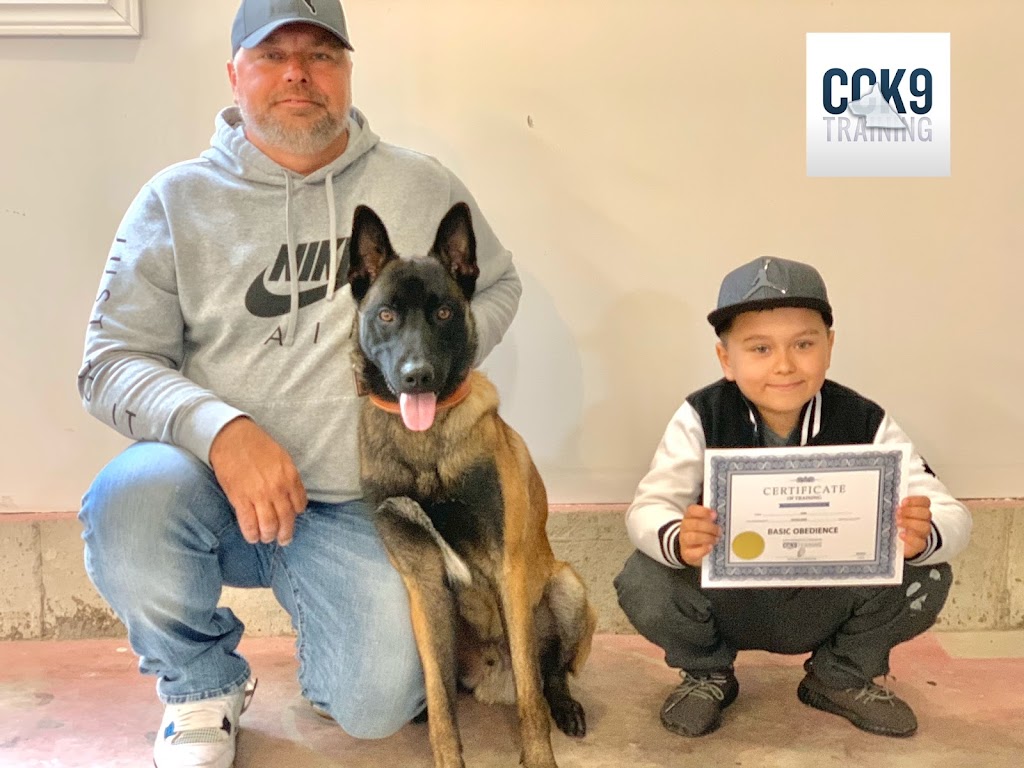 Command Control Dog Training (CCK9) | 21641 Dixie Road, Wainfleet, ON L0S 1V0, Canada | Phone: (877) 687-2259