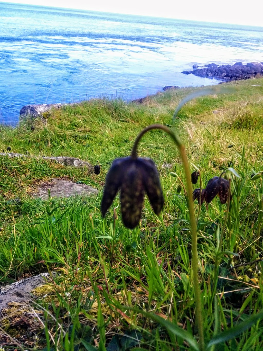 Winter Cove Marine Park | Church Bay Rd, Saturna, BC V0N 2Y0, Canada