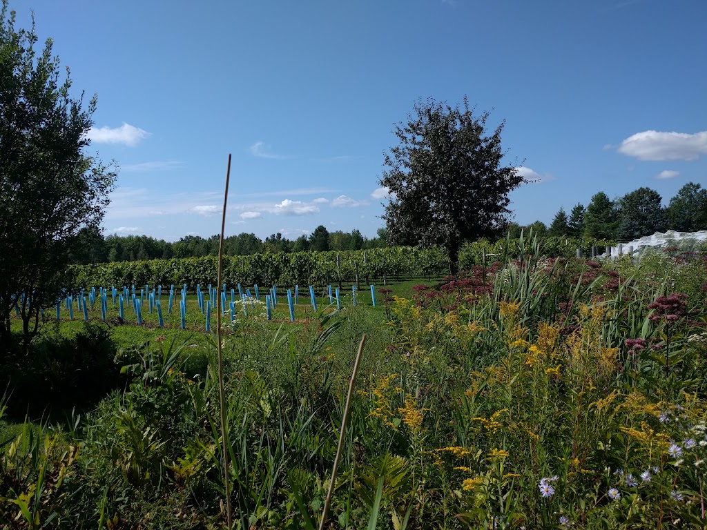 Au Vignoble dOrford | 318 Chem. Bice, Orford, QC J1X 0C1, Canada | Phone: (819) 212-1211
