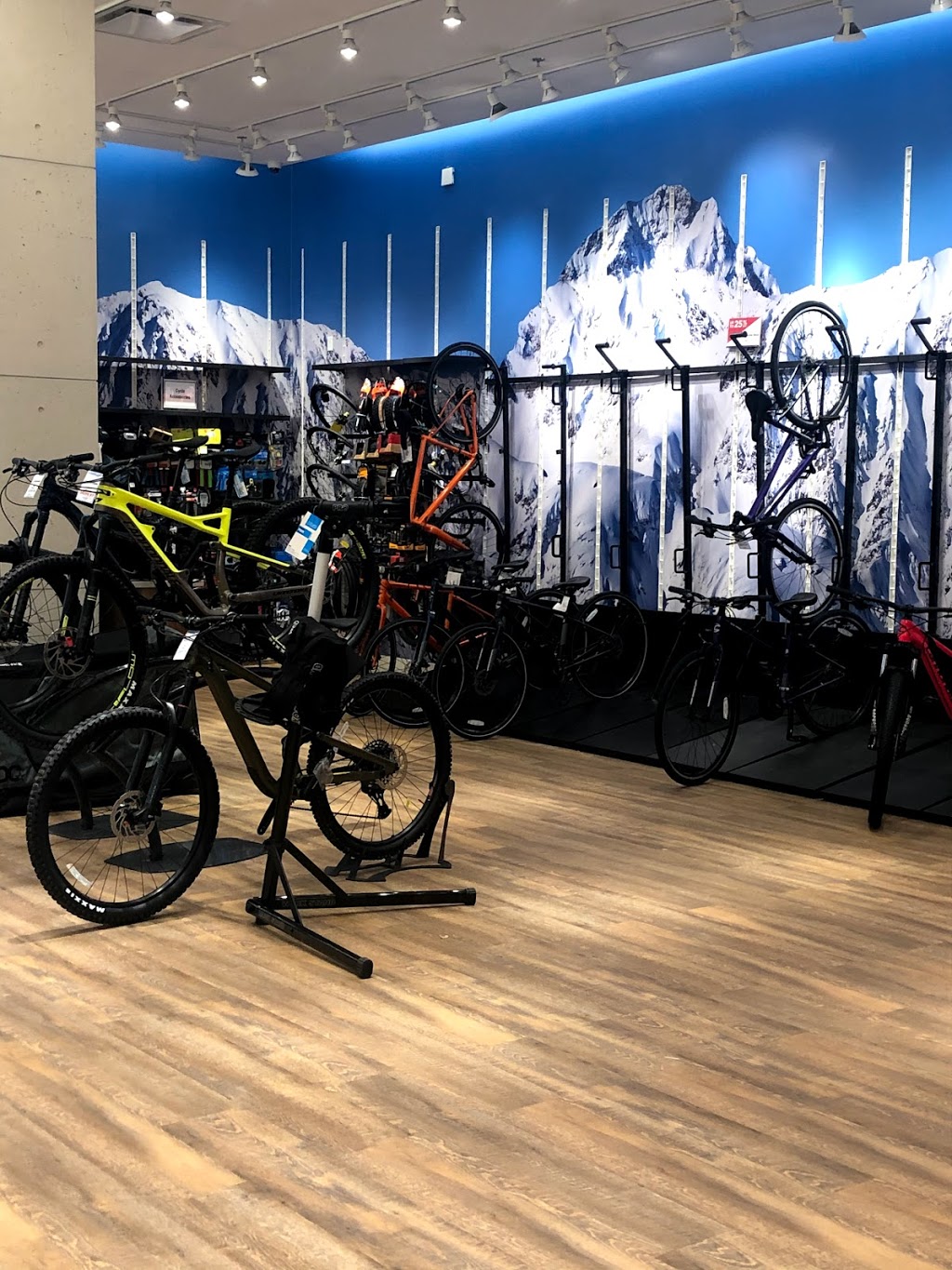 Sporting Life | 3625 Shaganappi Trail NW, Calgary, AB T3A 0E2, Canada | Phone: (403) 313-1675
