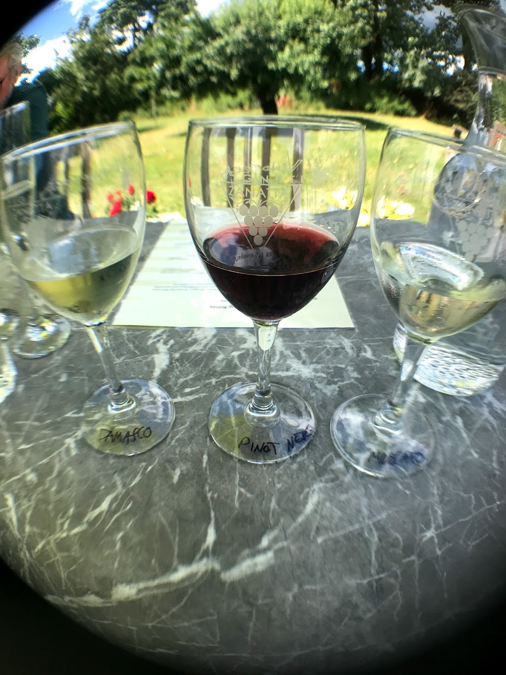 Zanatta Winery | 5039 Marshall Rd, Duncan, BC V9L 6S3, Canada | Phone: (250) 748-2338