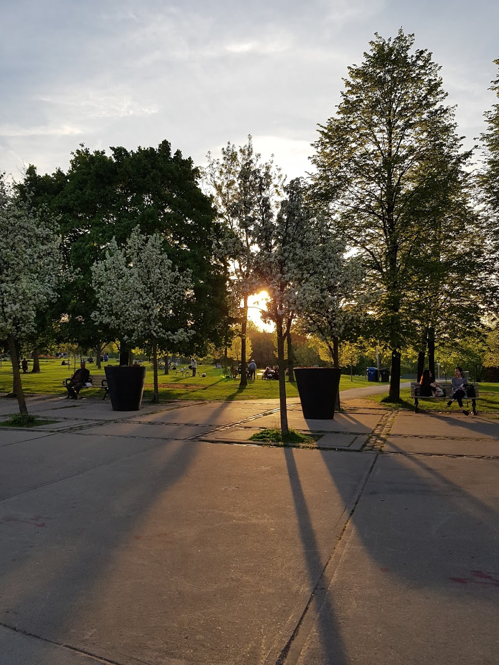 Bickford Park | 400 Grace St, Toronto, ON M6G 3A9, Canada | Phone: (416) 338-4386