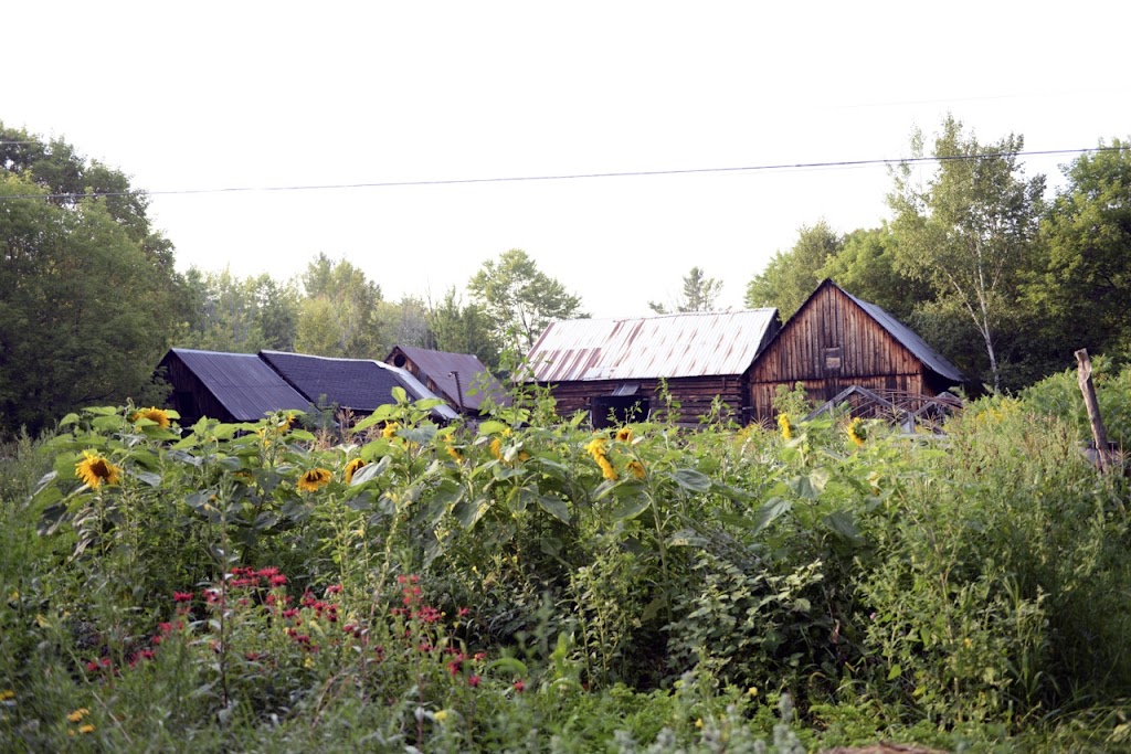 The Sacred Gardener | 486 Trail Blazers Rd, Golden Lake, ON K0J 1X0, Canada | Phone: (613) 625-1106