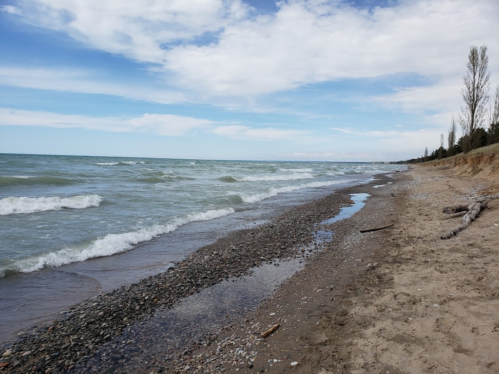 Pinery Provincal Park Dog Beach Area 1 | Lambton Shores, ON N0M 1T0, Canada