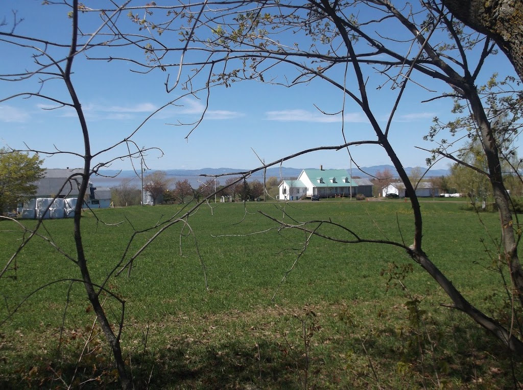 Casse-Croute Le Bocage | 202 Avenue de Gaspé O, Saint-Jean-Port-Joli, QC G0R 3G0, Canada | Phone: (418) 358-3122