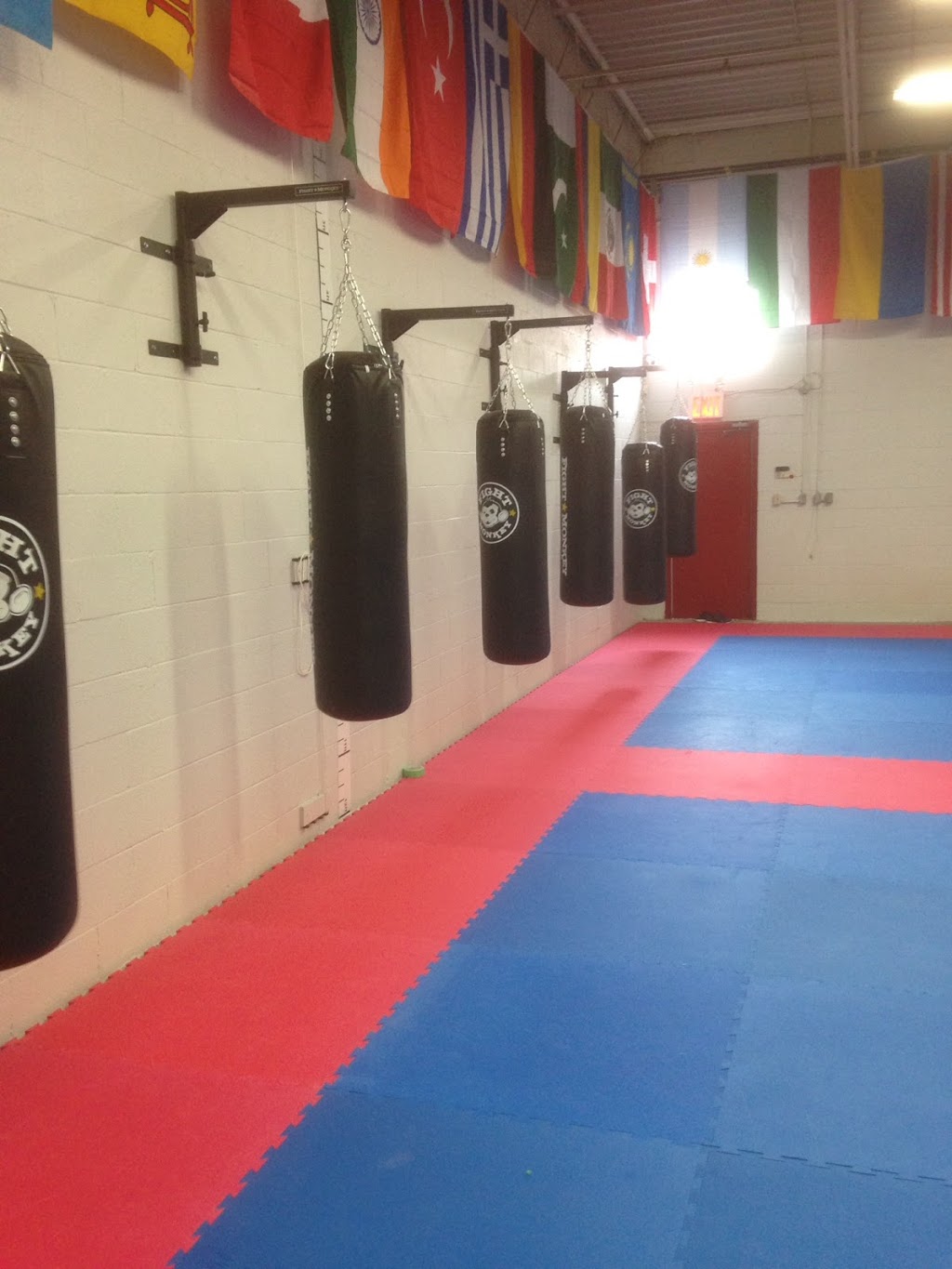 Newtons ITF School of Taekwon-do (Markham) | 100 Amber St Unit 2, Markham, ON L3R 3A2, Canada | Phone: (289) 846-8020
